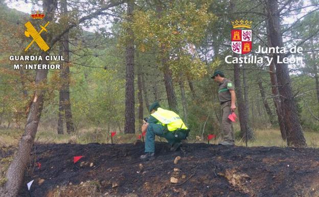 Los agentes encontraron indicios en los focos./BC